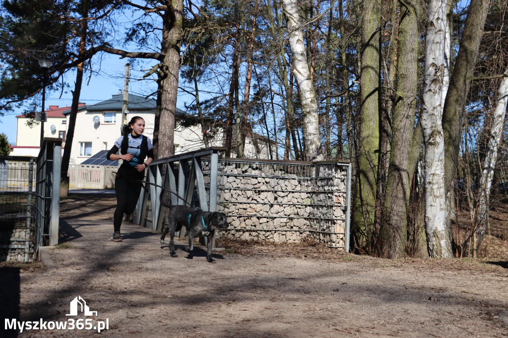 Fotorelacja I: Jurajski Dogtrekking w Myszkowie