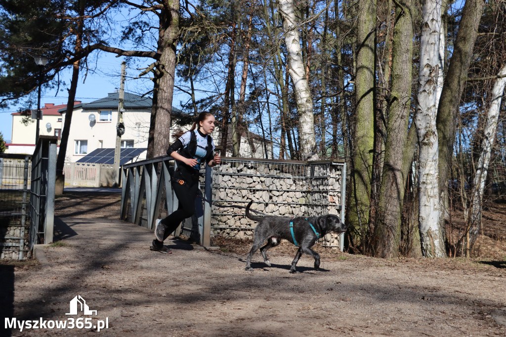 Fotorelacja I: Jurajski Dogtrekking w Myszkowie
