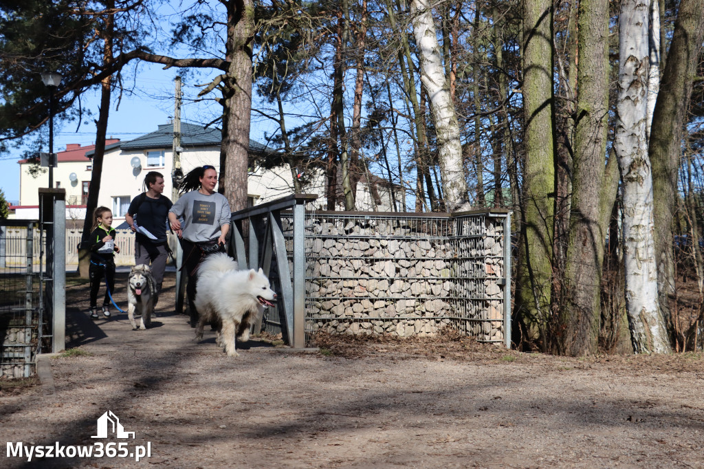 Fotorelacja I: Jurajski Dogtrekking w Myszkowie