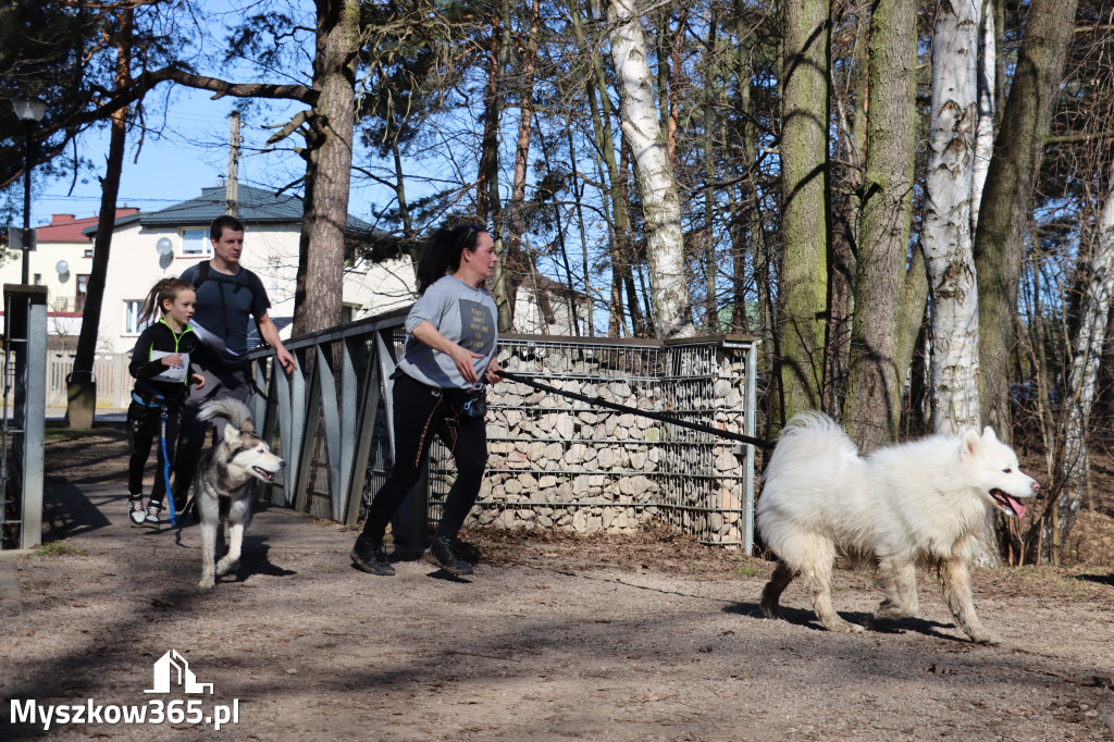 Fotorelacja I: Jurajski Dogtrekking w Myszkowie
