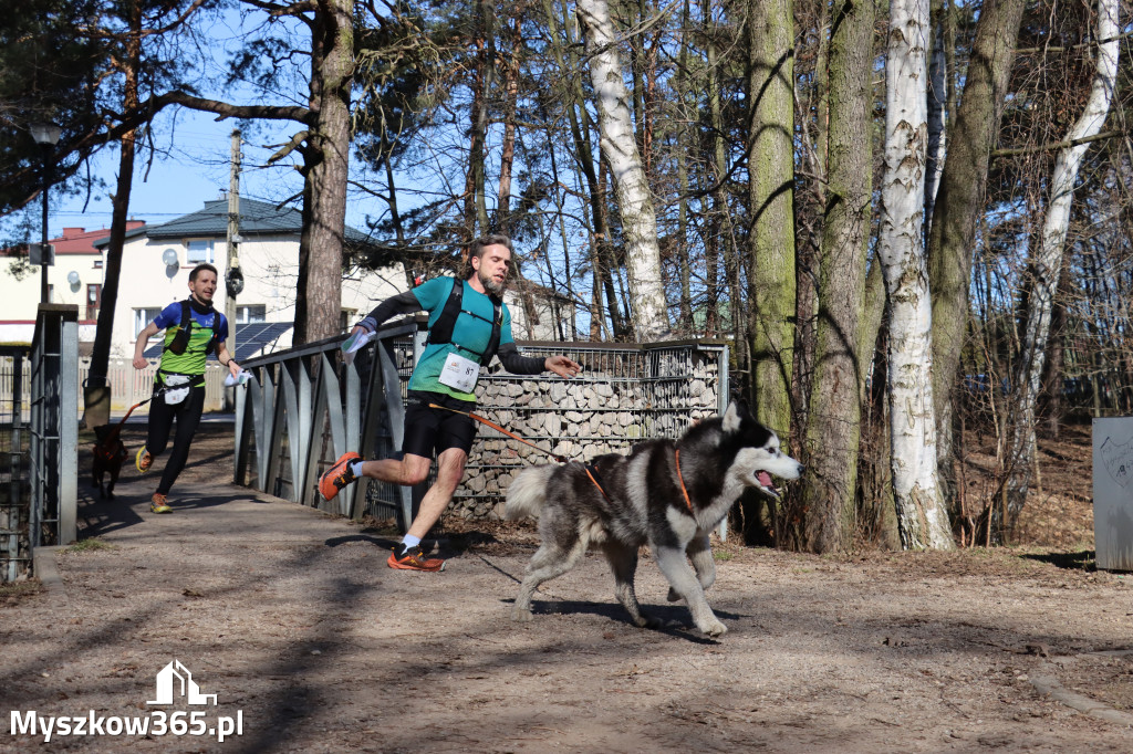 Fotorelacja I: Jurajski Dogtrekking w Myszkowie