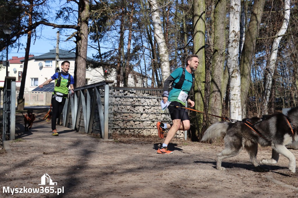 Fotorelacja I: Jurajski Dogtrekking w Myszkowie