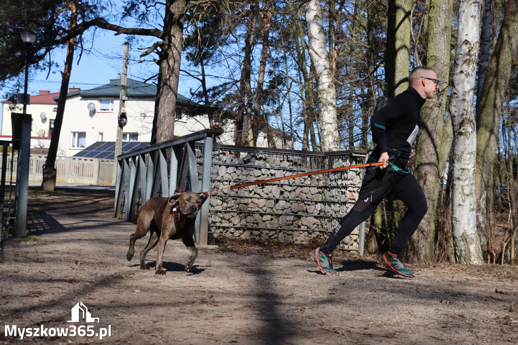 Fotorelacja I: Jurajski Dogtrekking w Myszkowie