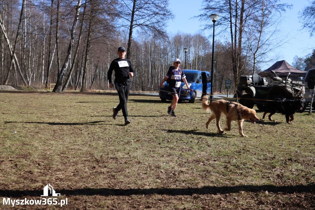 Fotorelacja I: Jurajski Dogtrekking w Myszkowie
