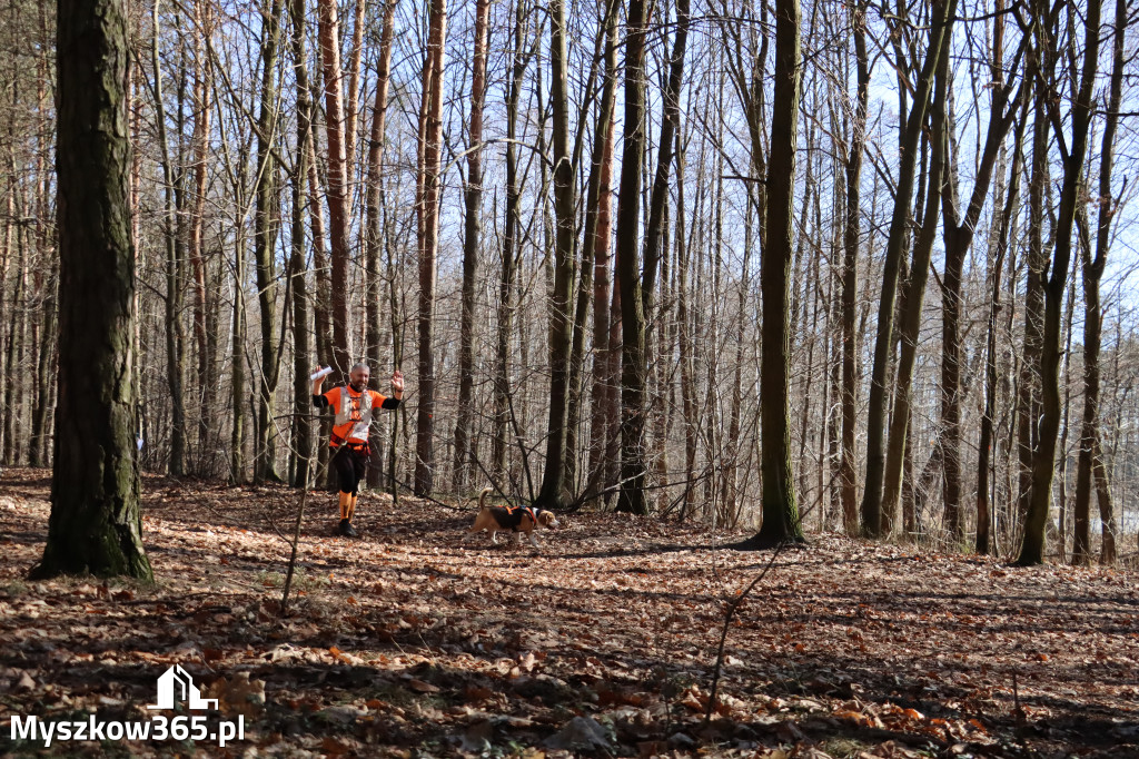 Fotorelacja I: Jurajski Dogtrekking w Myszkowie