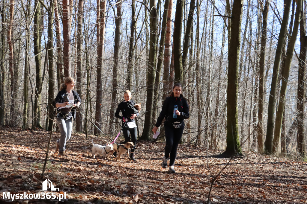 Fotorelacja I: Jurajski Dogtrekking w Myszkowie