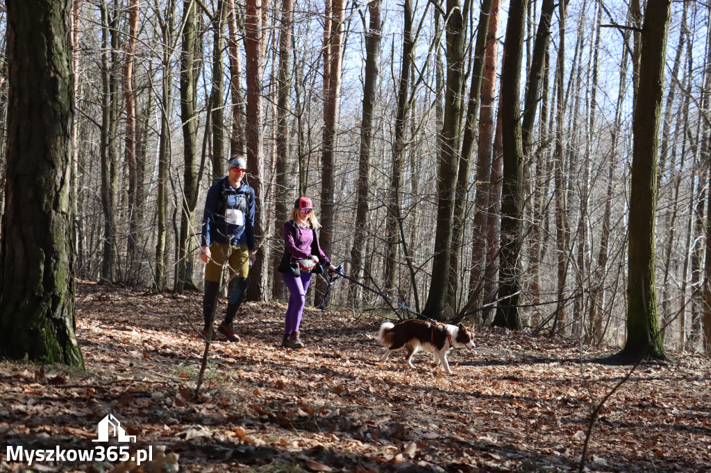 Fotorelacja I: Jurajski Dogtrekking w Myszkowie