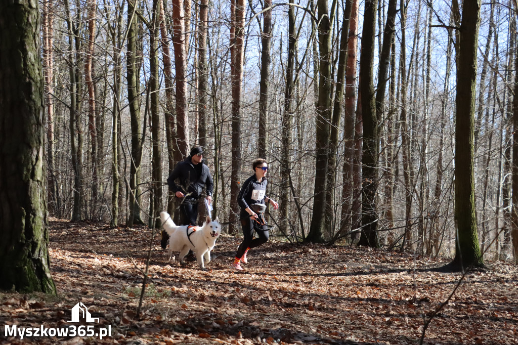 Fotorelacja I: Jurajski Dogtrekking w Myszkowie
