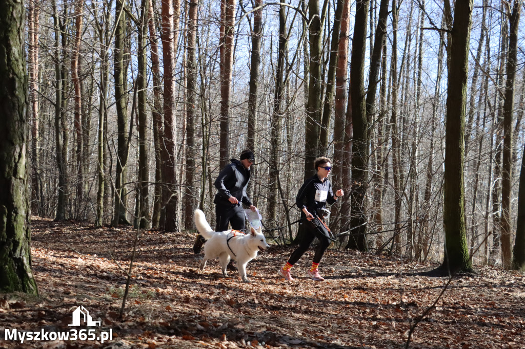 Fotorelacja I: Jurajski Dogtrekking w Myszkowie