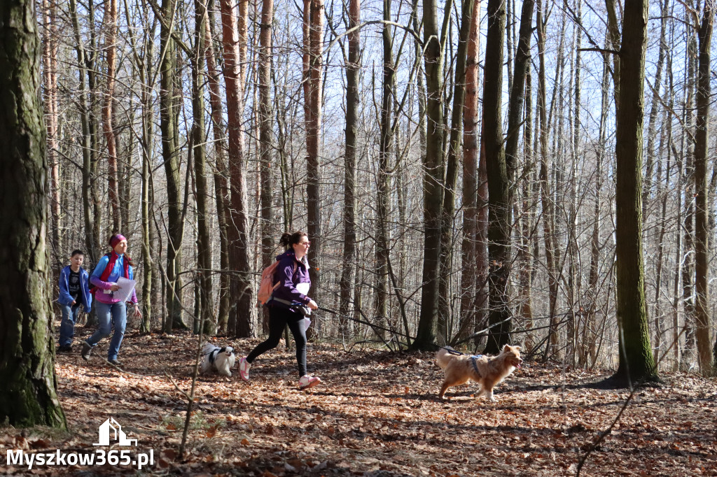 Fotorelacja I: Jurajski Dogtrekking w Myszkowie