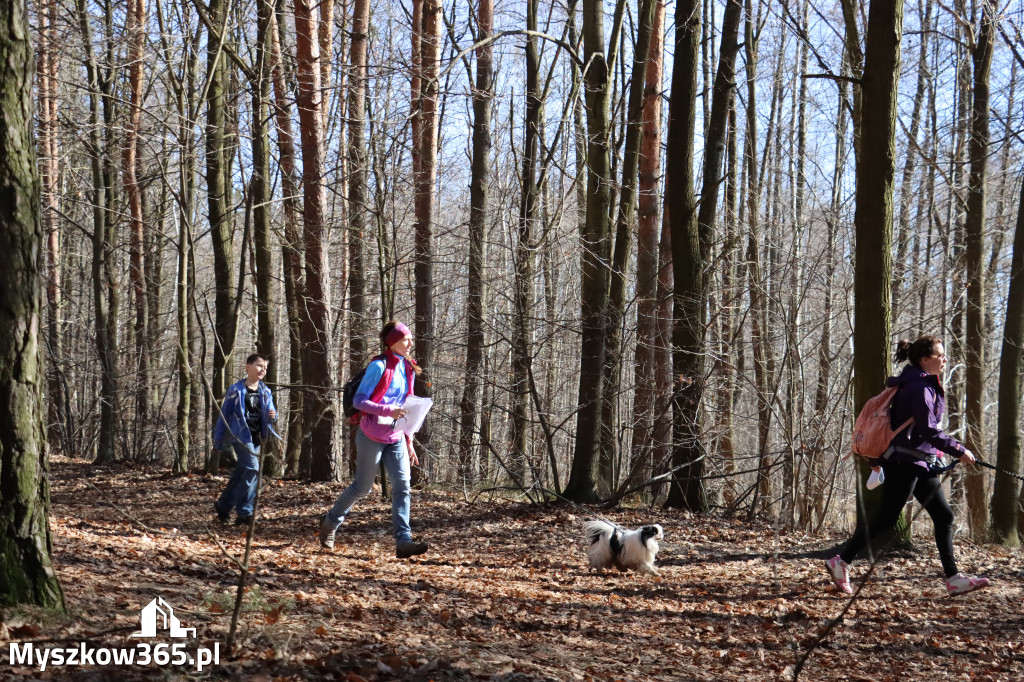 Fotorelacja I: Jurajski Dogtrekking w Myszkowie