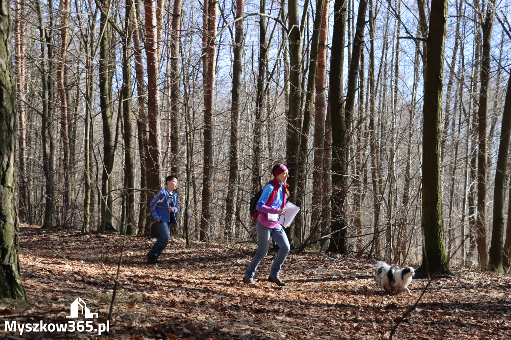 Fotorelacja I: Jurajski Dogtrekking w Myszkowie