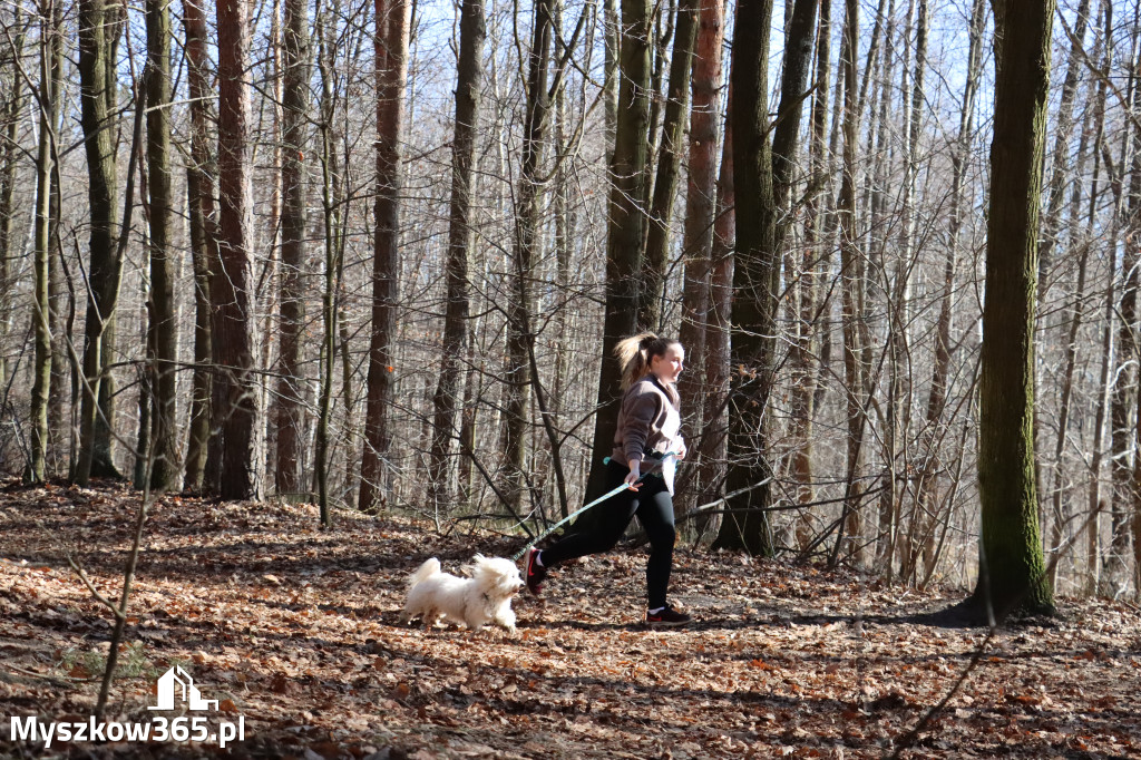 Fotorelacja I: Jurajski Dogtrekking w Myszkowie