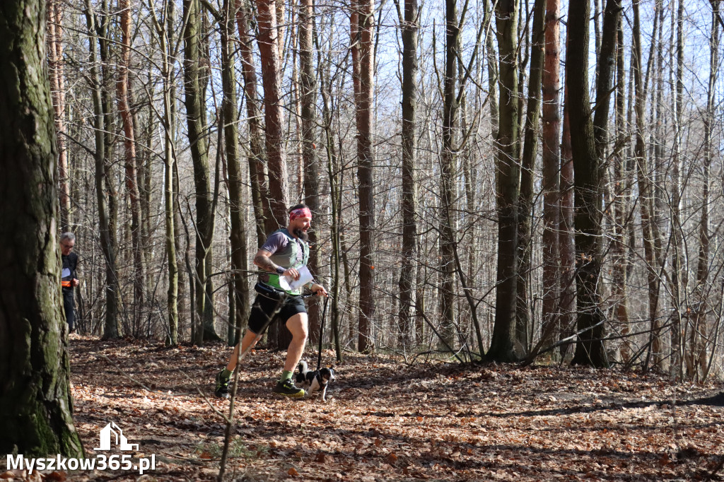 Fotorelacja I: Jurajski Dogtrekking w Myszkowie