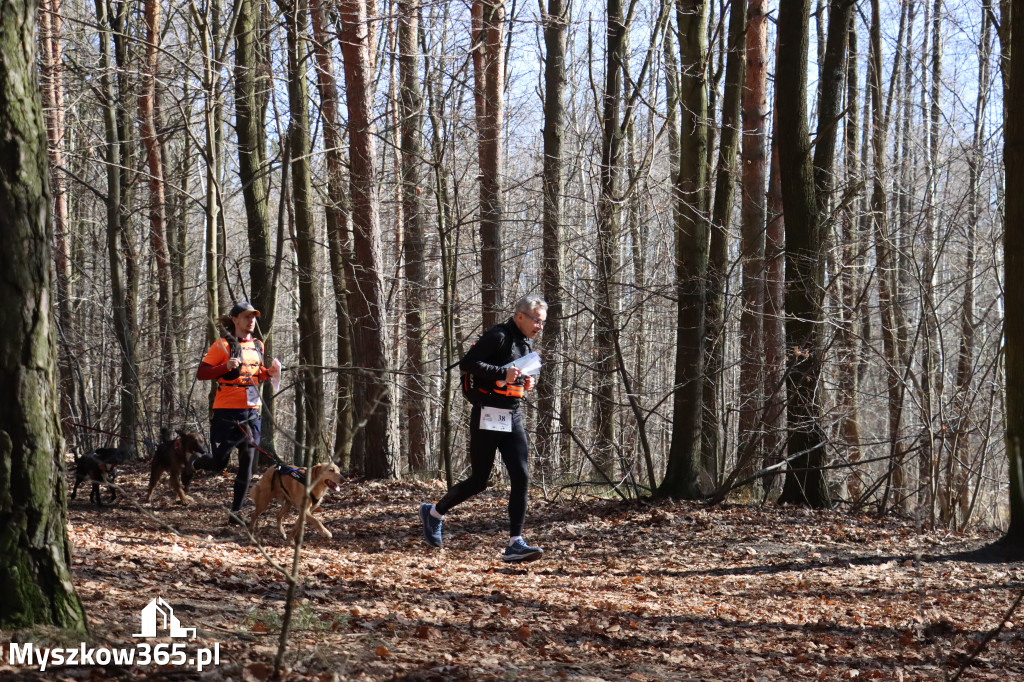 Fotorelacja I: Jurajski Dogtrekking w Myszkowie