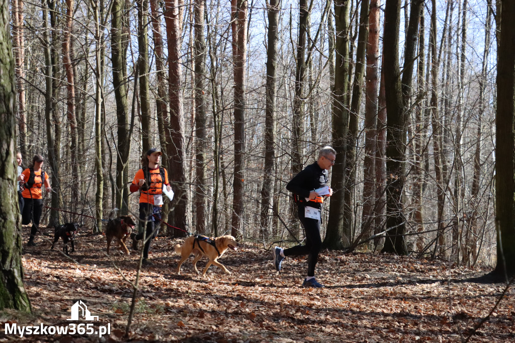 Fotorelacja I: Jurajski Dogtrekking w Myszkowie