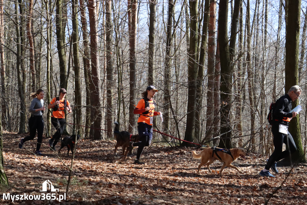 Fotorelacja I: Jurajski Dogtrekking w Myszkowie