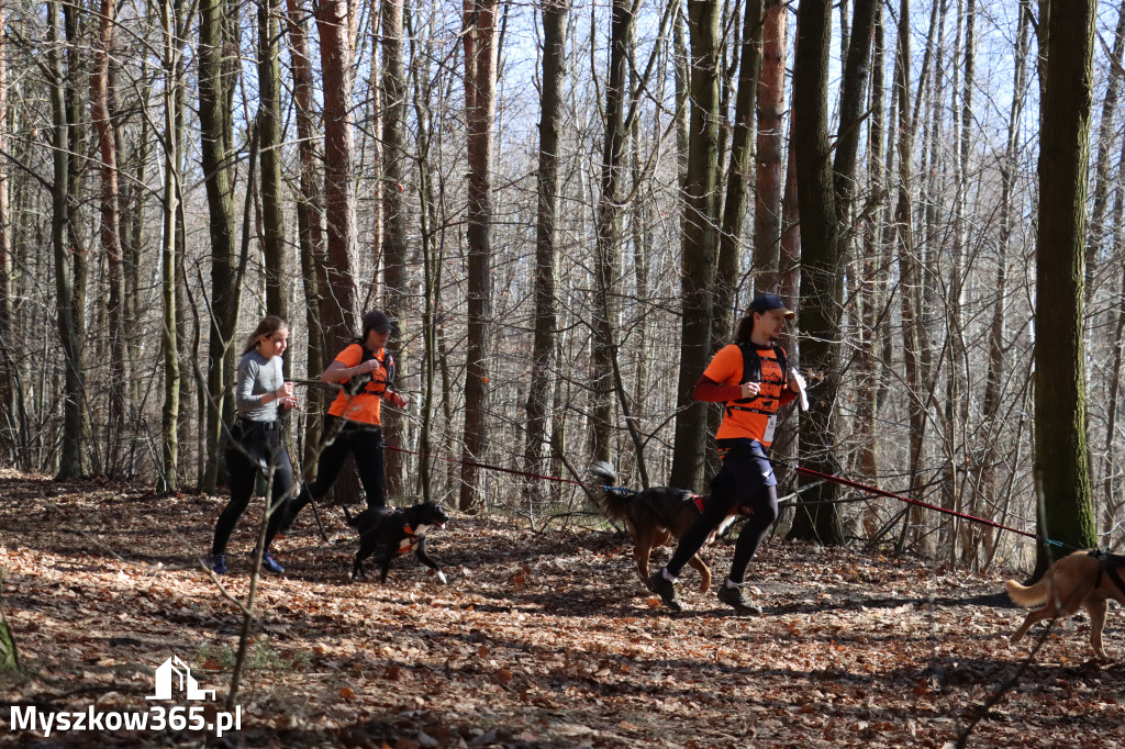 Fotorelacja I: Jurajski Dogtrekking w Myszkowie