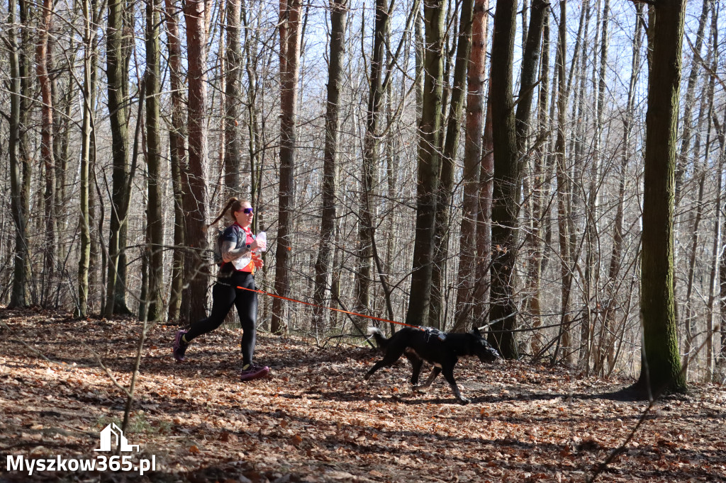 Fotorelacja I: Jurajski Dogtrekking w Myszkowie
