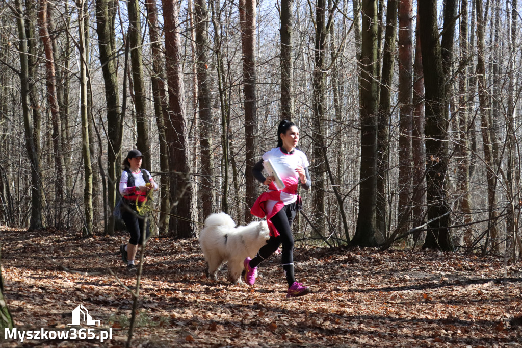 Fotorelacja I: Jurajski Dogtrekking w Myszkowie