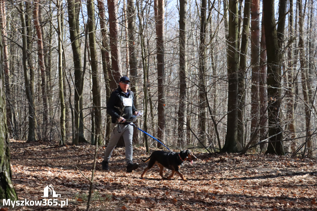 Fotorelacja I: Jurajski Dogtrekking w Myszkowie