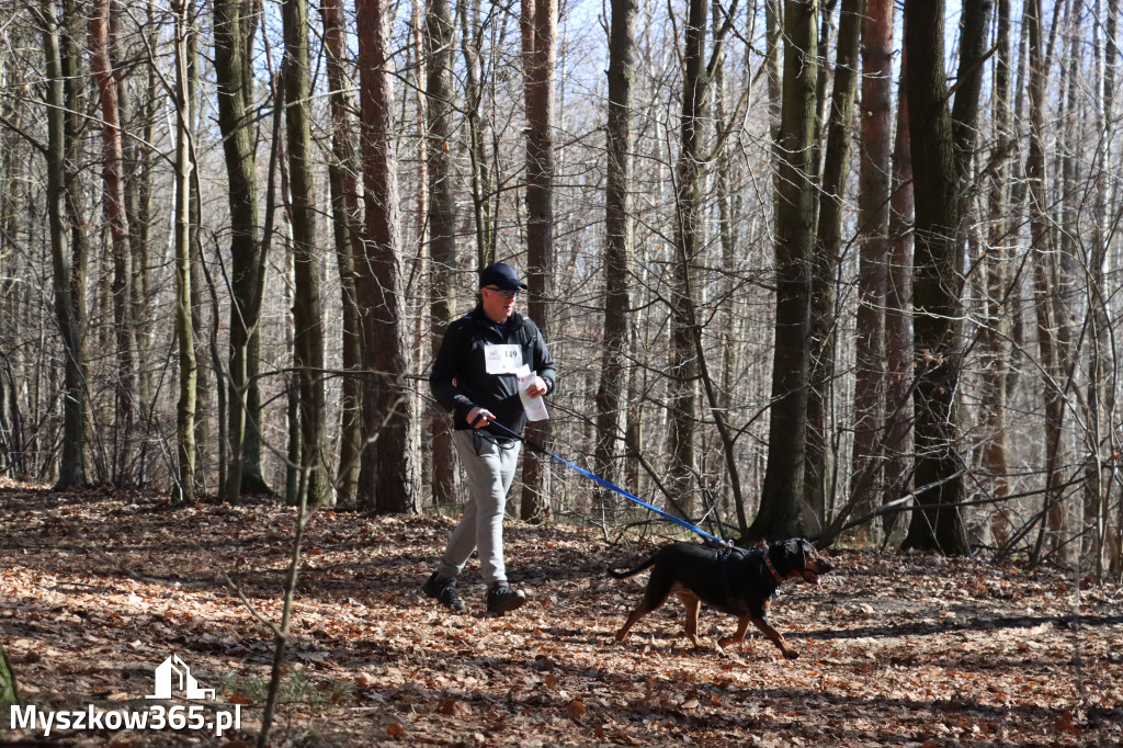 Fotorelacja I: Jurajski Dogtrekking w Myszkowie