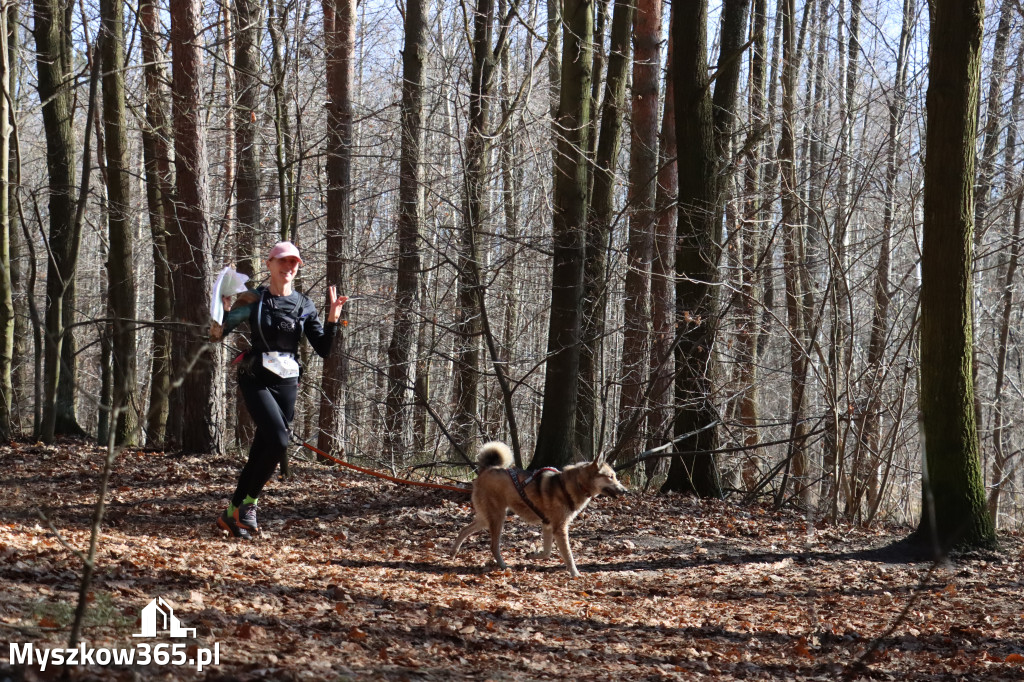 Fotorelacja I: Jurajski Dogtrekking w Myszkowie