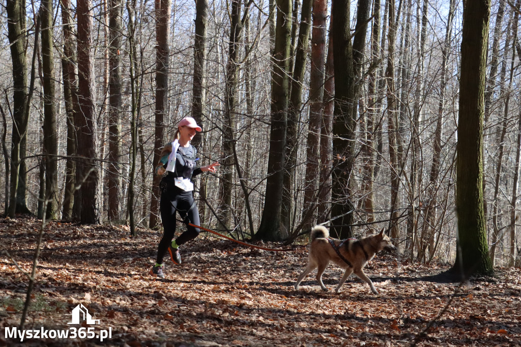 Fotorelacja I: Jurajski Dogtrekking w Myszkowie