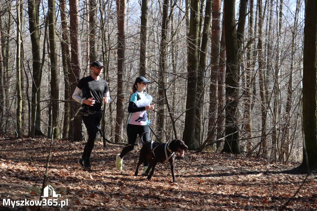 Fotorelacja I: Jurajski Dogtrekking w Myszkowie