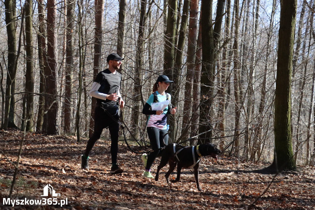 Fotorelacja I: Jurajski Dogtrekking w Myszkowie
