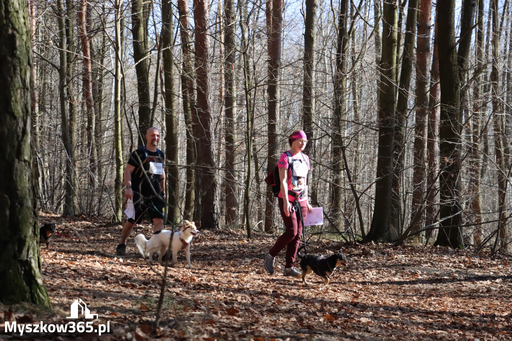 Fotorelacja I: Jurajski Dogtrekking w Myszkowie