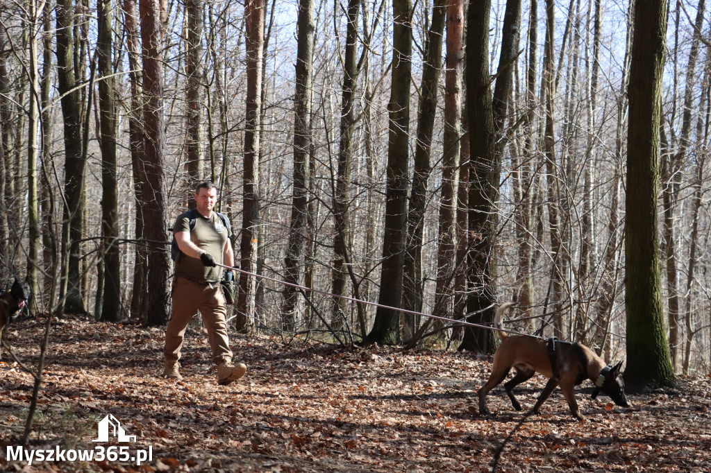 Fotorelacja I: Jurajski Dogtrekking w Myszkowie