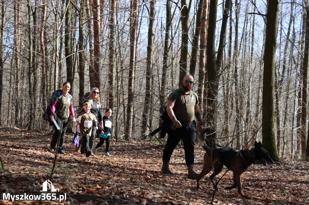 Fotorelacja I: Jurajski Dogtrekking w Myszkowie
