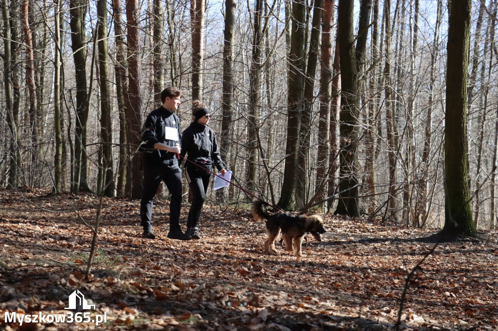 Fotorelacja I: Jurajski Dogtrekking w Myszkowie