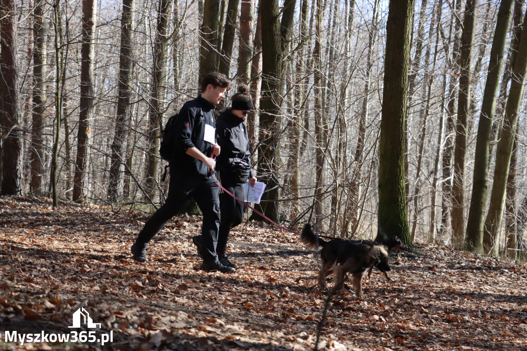 Fotorelacja I: Jurajski Dogtrekking w Myszkowie