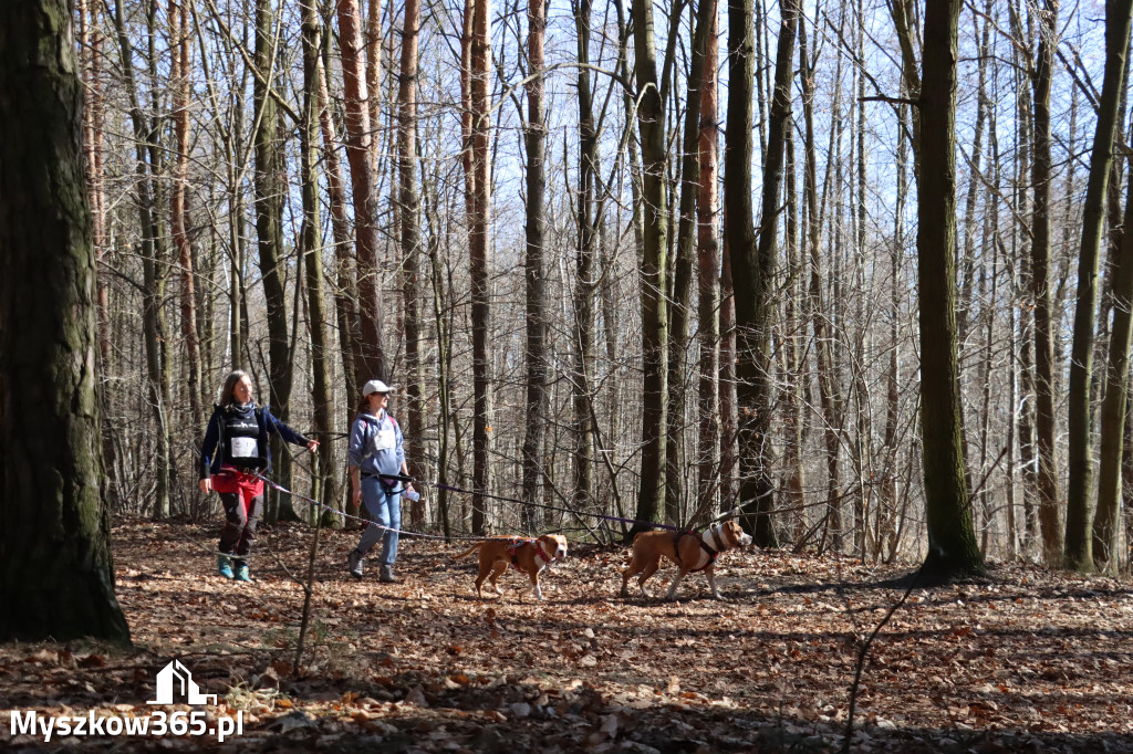 Fotorelacja I: Jurajski Dogtrekking w Myszkowie