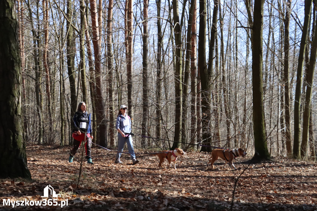 Fotorelacja I: Jurajski Dogtrekking w Myszkowie