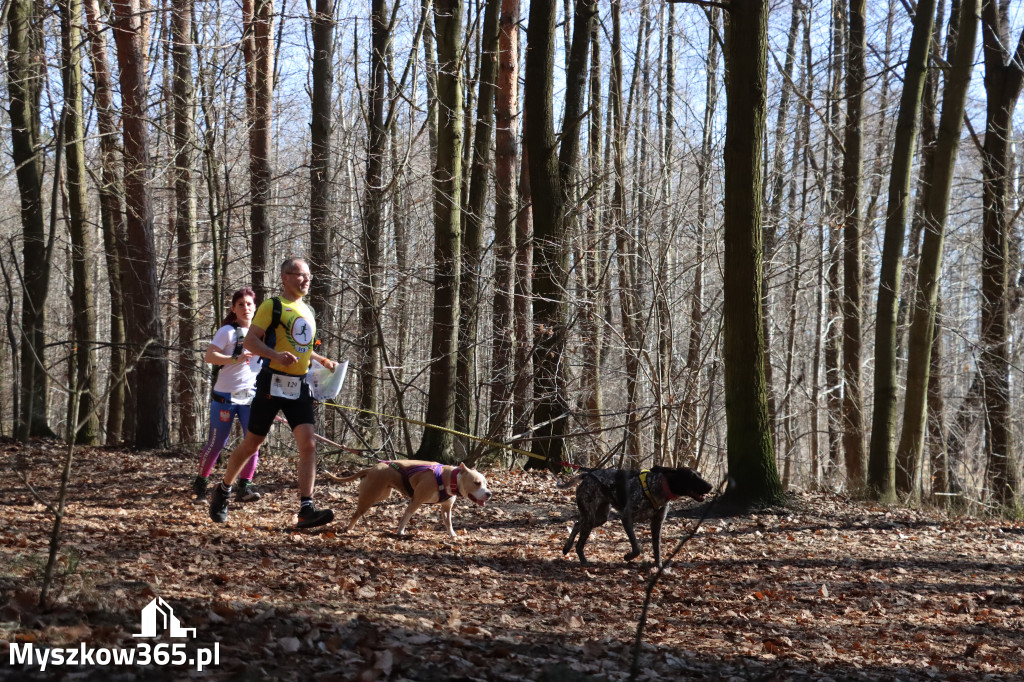 Fotorelacja I: Jurajski Dogtrekking w Myszkowie
