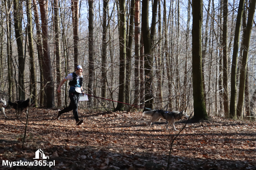 Fotorelacja I: Jurajski Dogtrekking w Myszkowie