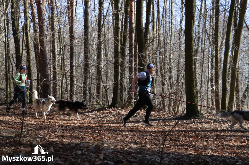 Fotorelacja I: Jurajski Dogtrekking w Myszkowie
