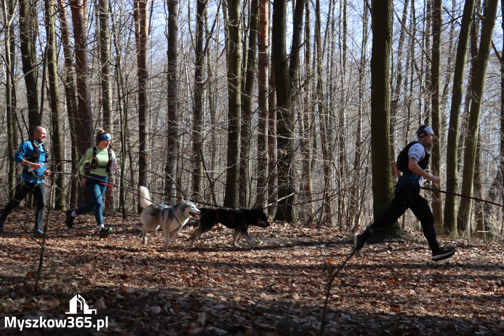 Fotorelacja I: Jurajski Dogtrekking w Myszkowie