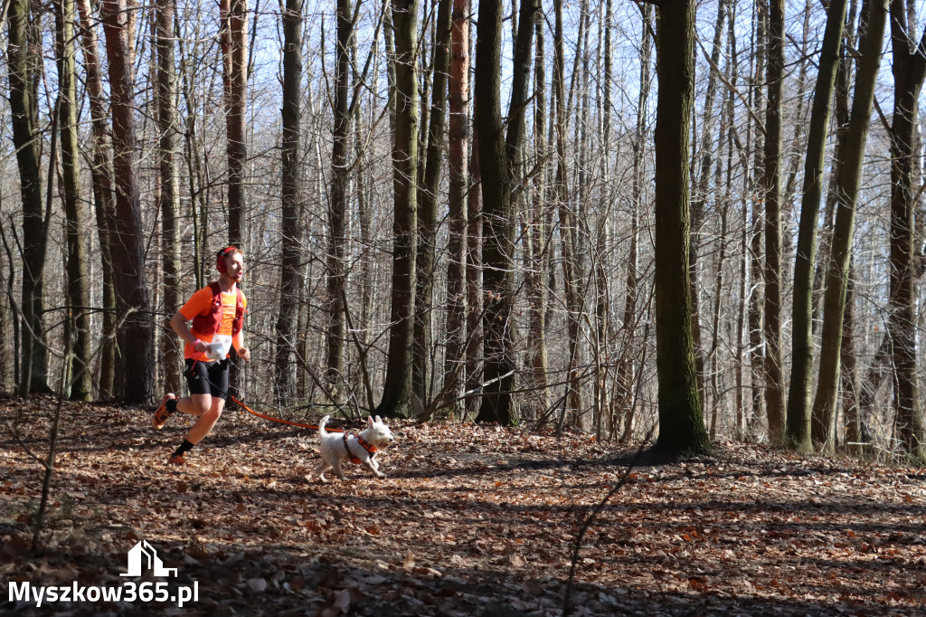Fotorelacja I: Jurajski Dogtrekking w Myszkowie
