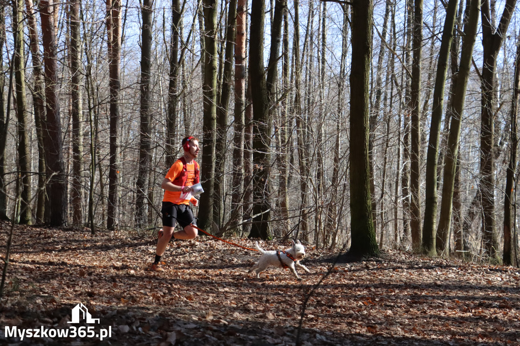 Fotorelacja I: Jurajski Dogtrekking w Myszkowie