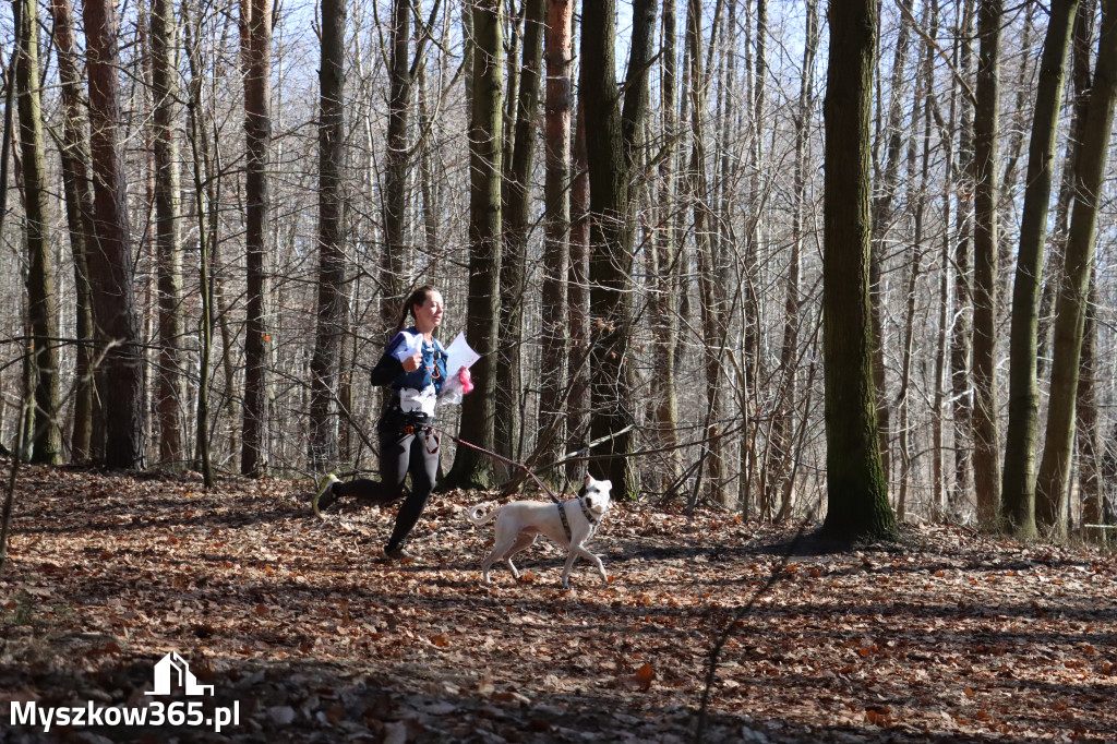 Fotorelacja I: Jurajski Dogtrekking w Myszkowie