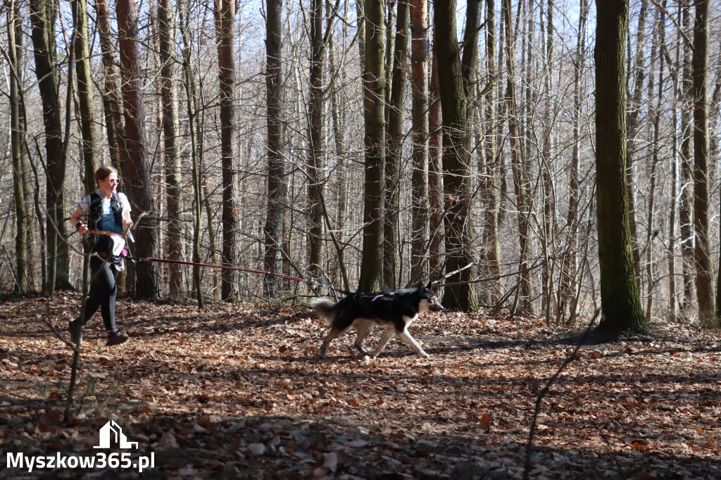 Fotorelacja I: Jurajski Dogtrekking w Myszkowie