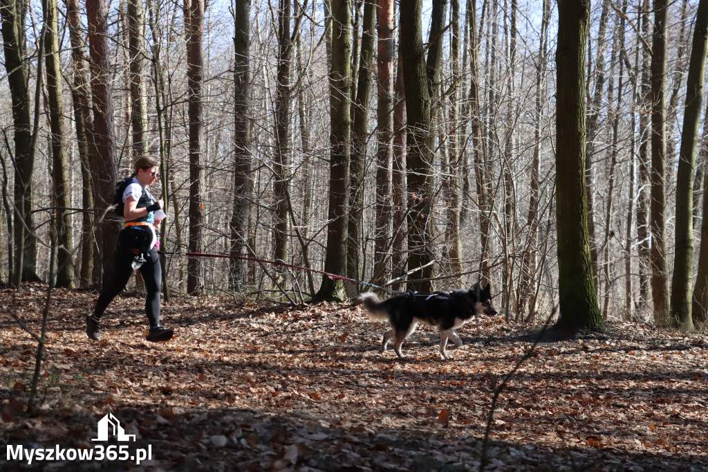 Fotorelacja I: Jurajski Dogtrekking w Myszkowie