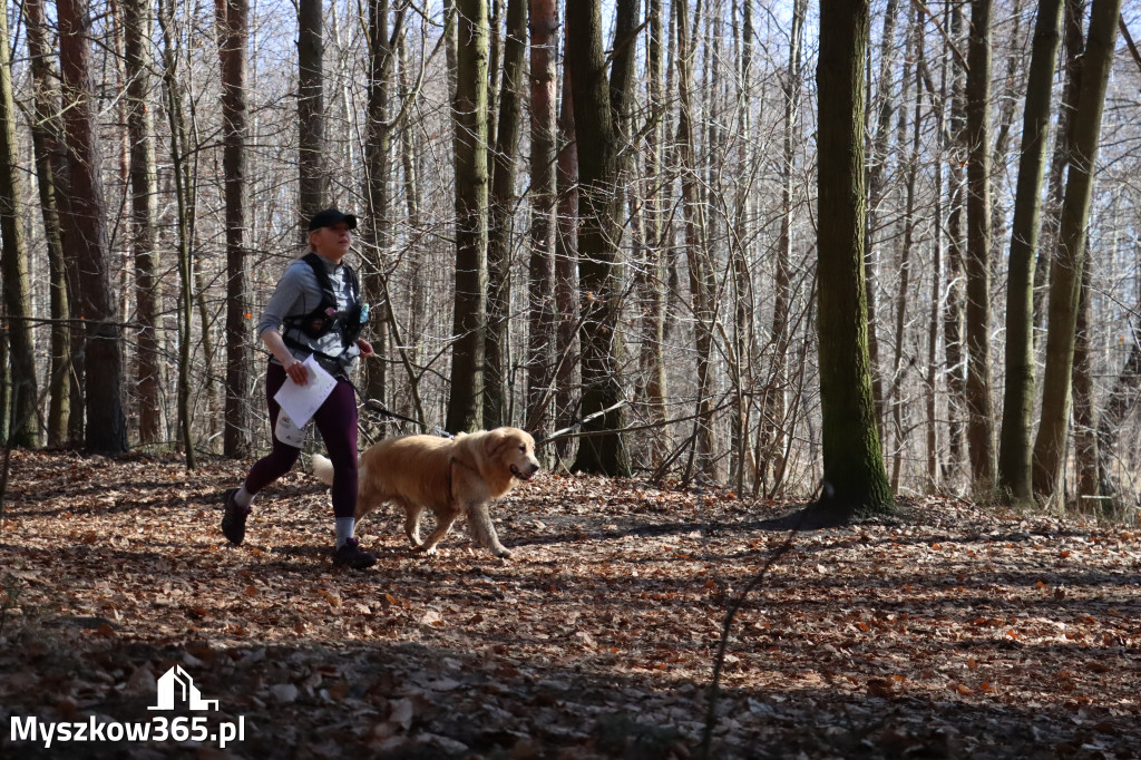 Fotorelacja I: Jurajski Dogtrekking w Myszkowie