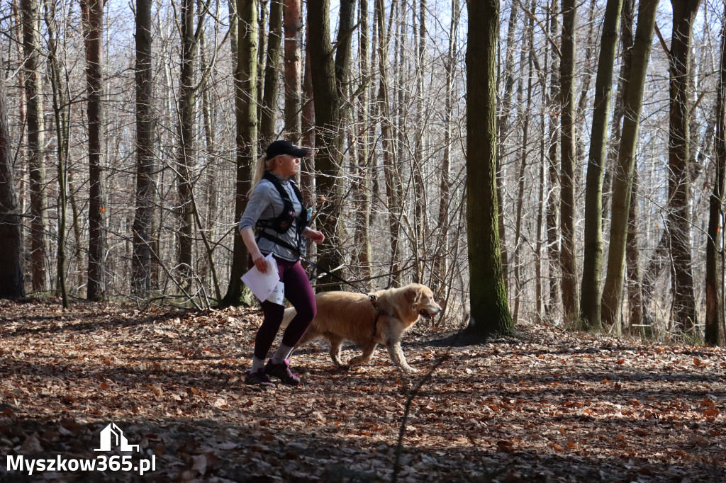 Fotorelacja I: Jurajski Dogtrekking w Myszkowie