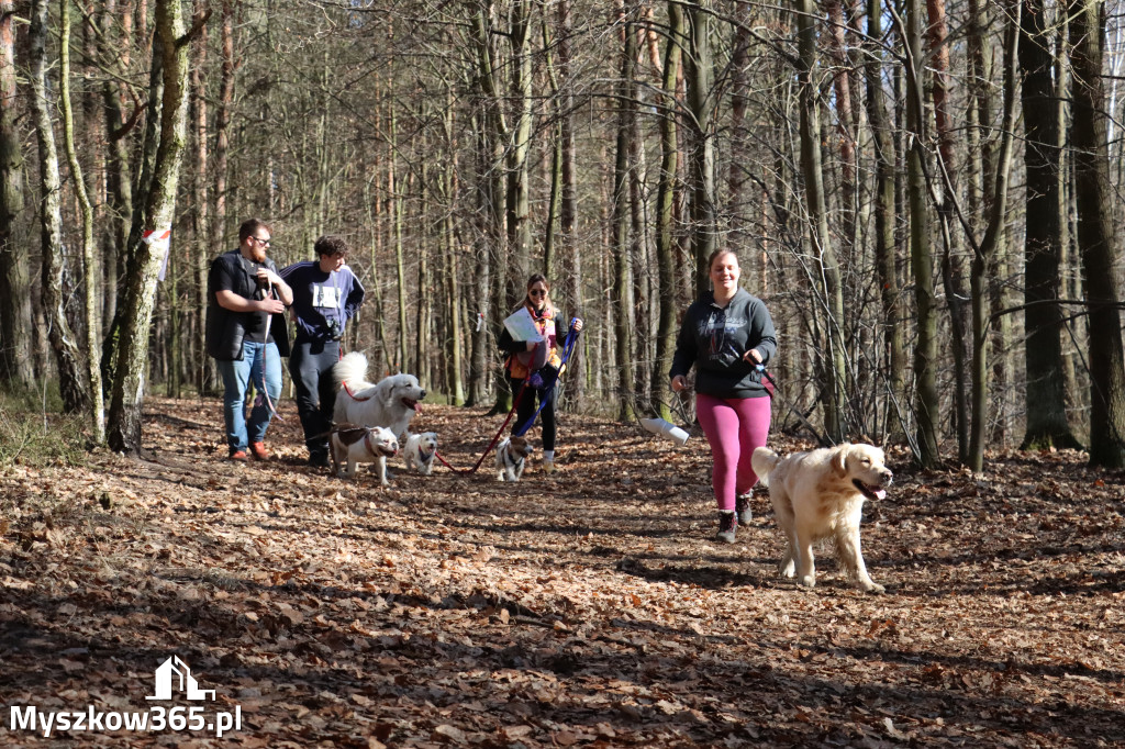 Fotorelacja I: Jurajski Dogtrekking w Myszkowie