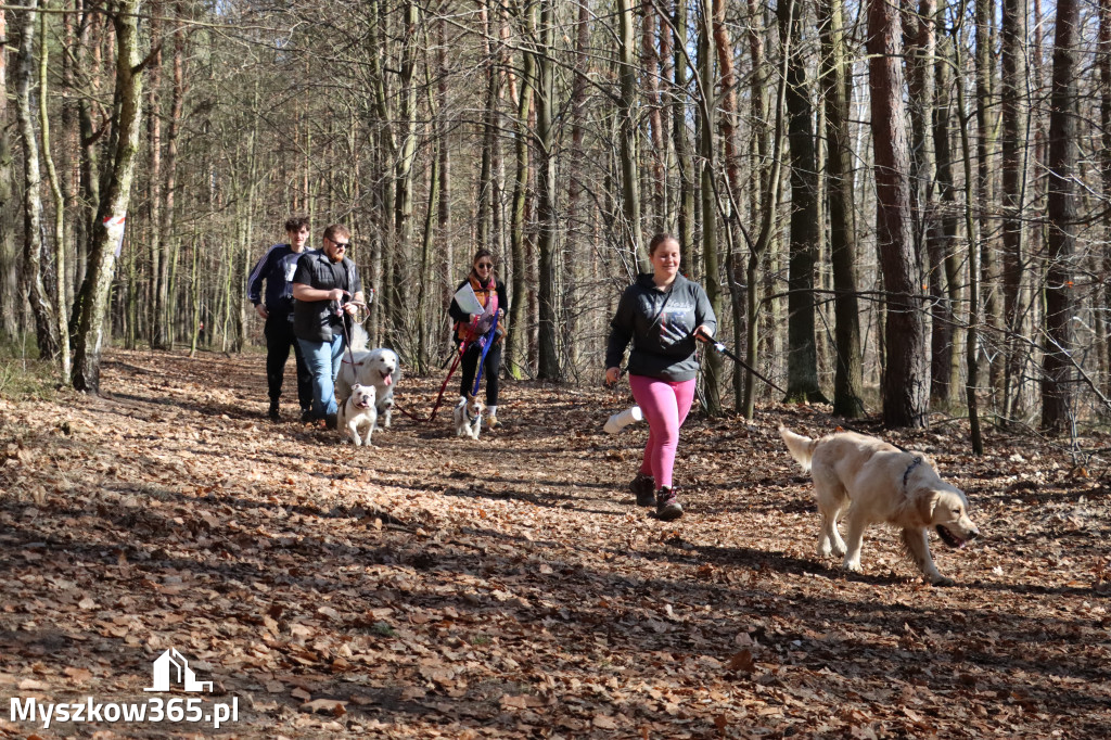 Fotorelacja I: Jurajski Dogtrekking w Myszkowie